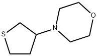 4-tetrahydrothiophen-3-yl-Morpholine