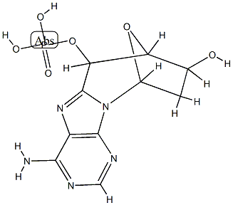 8,5'-cyclo(deoxyadenosine 5'-monophosphate)