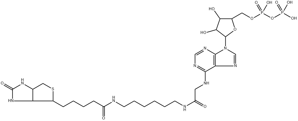biotinyl-adenoside diphosphate